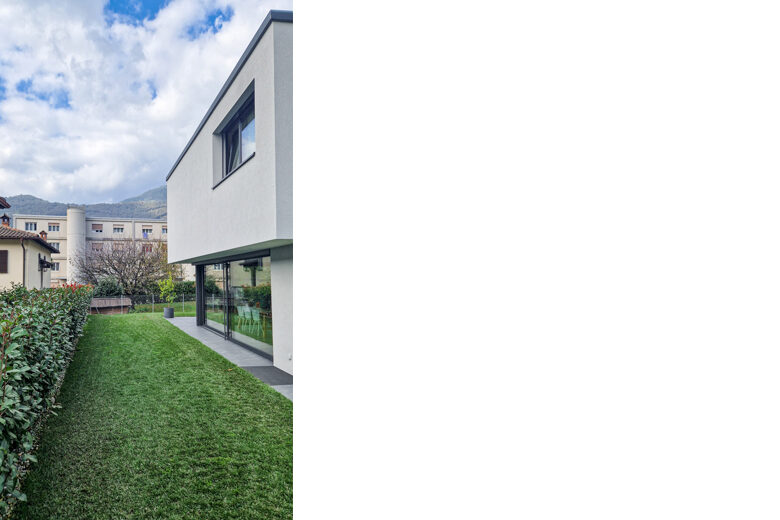 Radix Lamone OG w-3a