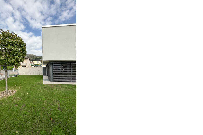 Radix Lamone OG w-4a