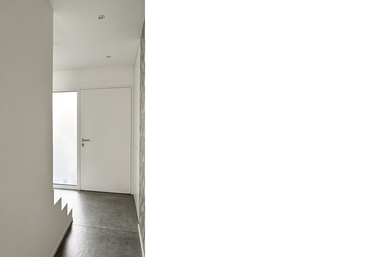 Radix Lamone OG w-8a